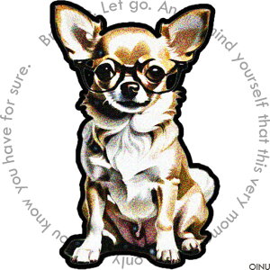 Kl ` Ă t@bV NbVJo[ 45×45cm Aj}   NbV{̕t ` t@