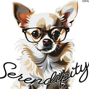 ዾ ` ZfBseB NbVJo[ 45×45cm Aj}   NbV{̕t ` t@