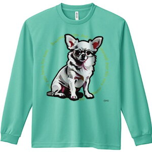 TVc lԗp Y Ht vg W[ AEghA JWA 킢 t@ Kl `