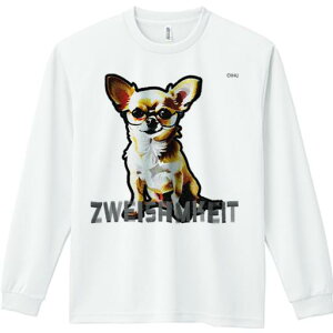 TVc lԗp Y Ht vg W[ AEghA JWA 킢 t@ Kl `  CXg