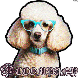 ዾ v[h  ʔ NbVJo[ 45×45cm Aj}  NbV{̕t ` t@