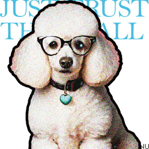 Kl v[h n[g̃lbNX y  NbVJo[ 45×45cm Aj}  NbV{̕t ` t@