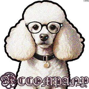 ዾ v[h  NbVJo[ 45×45cm Aj}   NbV{̕t ` t@