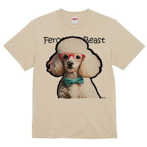 TVc Y LbY t@  t  vg JWA 킢 lԗp tBbglX _X Ԃዾ v[h lN^C