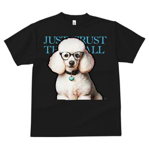 TVc Y LbY t@  t  vg JWA 킢 lԗp tBbglX _X Kl v[h n[g̃lbNX y 