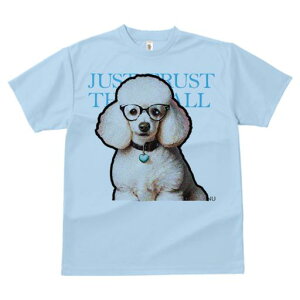 TVc Y LbY t@  t  vg JWA 킢 lԗp tBbglX _X Kl v[h n[g̃lbNX y 