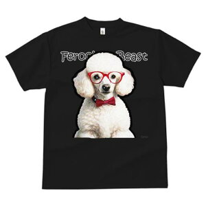 TVc Y LbY t@  t  vg JWA 킢 lԗp tBbglX _X Kl v[h ԂlN^C 