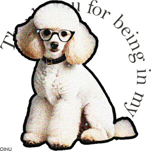 Kl v[h NbVJo[ 45×45cm Aj}   NbV{̕t ` t@