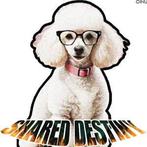 Kl v[h 킢 IV NbVJo[ 45×45cm Aj}   NbV{̕t ` t@