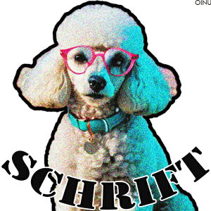 Kl v[h J[ t@bV NbVJo[ 45×45cm Aj}   NbV{̕t ` t@