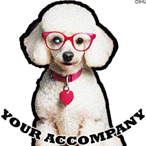 Kl v[h  n[g NbVJo[ 45×45cm Aj}   NbV{̕t ` t@