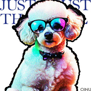 ���K�l �v�[�h�� ���l�N�^�C �J���t�� �N�b�V�����J�o�[ 45×45cm �A�j�}���� ������� ���� �N�b�V�����{�̕t�� �����` ���t�@��