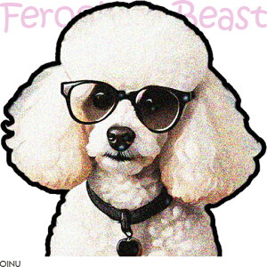 Kl v[h   NbVJo[ 45×45cm Aj}  NbV{̕t ` t@