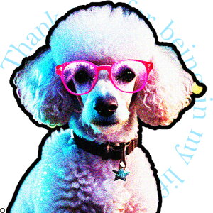 Kl v[h Jt ̃y_g NbVJo[ 45×45cm Aj}   NbV{̕t ` t@