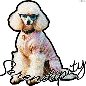 Kl v[h Z[^[  NbVJo[ 45×45cm Aj}   NbV{̕t ` t@