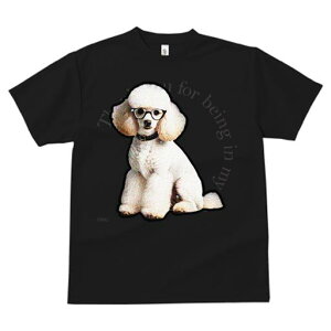 TVc Y LbY t@  t  vg JWA 킢 lԗp tBbglX _X Kl v[h