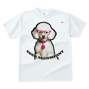 TVc Y LbY t@  t  vg JWA 킢 lԗp tBbglX _X Kl v[h  n[g