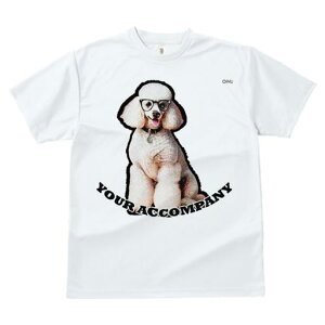 TVc Y LbY t@  t  vg JWA 킢 lԗp tBbglX _X Kl v[h   [X ANZT[