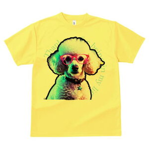 TVc Y LbY t@  t  vg JWA 킢 lԗp tBbglX _X Kl v[h Jt ̃y_g