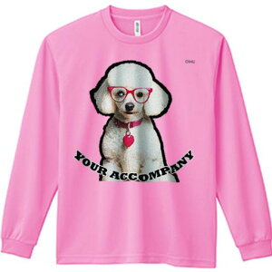 TVc lԗp Y Ht vg W[ AEghA JWA 킢 t@ Kl v[h  n[g