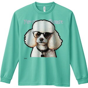 TVc lԗp Y Ht vg W[ AEghA JWA 킢 t@ Kl v[h  