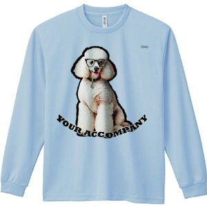 TVc lԗp Y Ht vg W[ AEghA JWA 킢 t@ Kl v[h   [X ANZT[