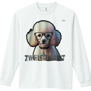 TVc lԗp Y Ht vg W[ AEghA JWA 킢 t@ Kl v[h  t@bV  eLXg