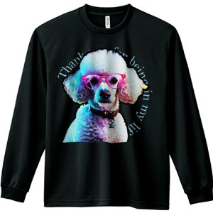 TVc lԗp Y Ht vg W[ AEghA JWA 킢 t@ Kl v[h Jt ̃y_g