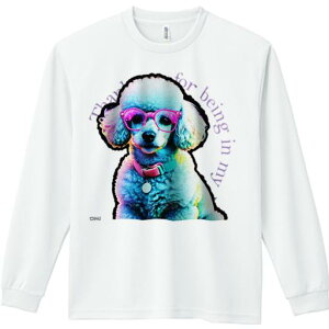 TVc lԗp Y Ht vg W[ AEghA JWA 킢 t@ Kl v[h JtȎ  bZ[W