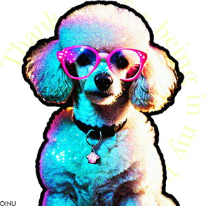 sN̊ዾ v[h  Jt X^[̃y_g NbVJo[ 45×45cm Aj}   NbV{̕t ` t@