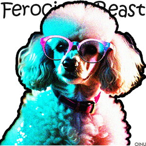 Kl v[h  |pI Jt NbVJo[ 45×45cm Aj}   NbV{̕t ` t@