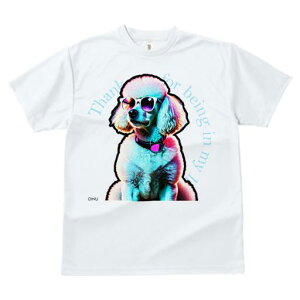 TVc Y LbY t@  t  vg JWA 킢 lԗp tBbglX _X TOX v[h Kl  N[ Jt