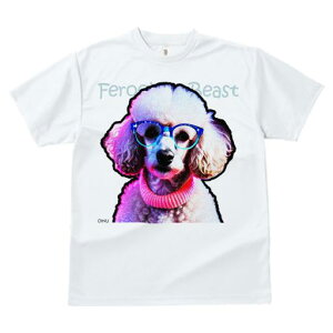 TVc Y LbY t@  t  vg JWA 킢 lԗp tBbglX _X Kl v[h Z[^[ n[g Jt 