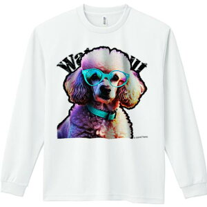 TVc lԗp Y Ht vg W[ AEghA JWA 킢 t@ Kl v[h J[ Jt 