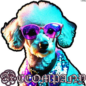 TOX v[h hȕ 킢  NbVJo[ 45×45cm Aj}  NbV{̕t ` t@