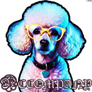 Kl v[h J[ n[g̃y_g NbVJo[ 45×45cm Aj}   NbV{̕t ` t@