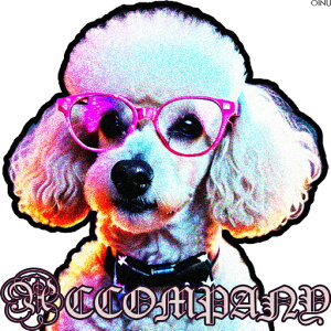 ዾ v[h  NbVJo[ 45×45cm Aj}  NbV{̕t ` t@