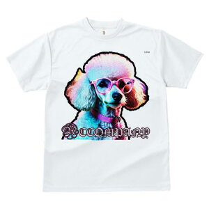 TVc Y LbY t@  t  vg JWA 킢 lԗp tBbglX _X Kl v[h h Jt  ӂ