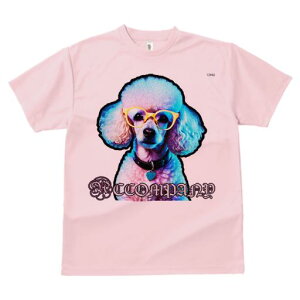 TVc Y LbY t@  t  vg JWA 킢 lԗp tBbglX _X Kl v[h J[ n[g̃y_g