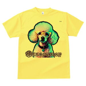 TVc Y LbY t@  t  vg JWA 킢 lԗp tBbglX _X Kl v[h J[ n[g̃y_g