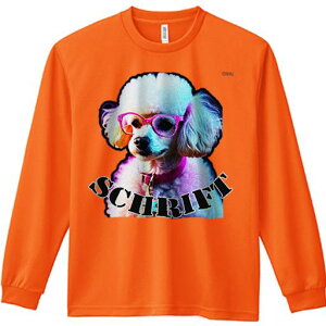 TVc lԗp Y Ht vg W[ AEghA JWA 킢 t@ Kl v[h  sN |bvA[g