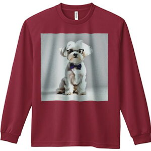 TVc lԗp Y Ht vg W[ AEghA JWA 킢 t@ ዾ }`[Y lN^C