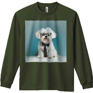 TVc lԗp Y Ht vg W[ AEghA JWA 킢 t@ Kl }`[Y lN^C wi