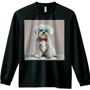 TVc lԗp Y Ht vg W[ AEghA JWA 킢 t@ Kl }`[Y ԂlN^C sN̔wi