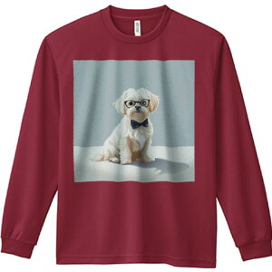 TVc lԗp Y Ht vg W[ AEghA JWA 킢 t@ Kl }`[Y lN^C