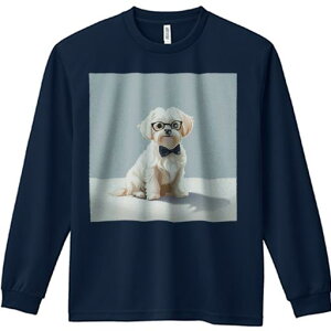 TVc lԗp Y Ht vg W[ AEghA JWA 킢 t@ Kl }`[Y lN^C