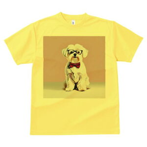 TVc Y LbY t@  t  vg JWA 킢 lԗp tBbglX _X Kl }`[Y ԂlN^C sN̔wi