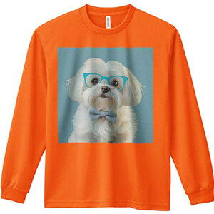 TVc lԗp Y Ht vg W[ AEghA JWA 킢 t@ Kl }`[Y lN^C wiF