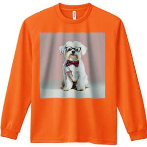 TVc lԗp Y Ht vg W[ AEghA JWA 킢 t@ Kl }`[Y ԂlN^C sN̔wi