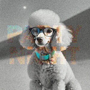 Kl v[h J[ NbVJo[ 45×45cm Aj}   NbV{̕t ` t@